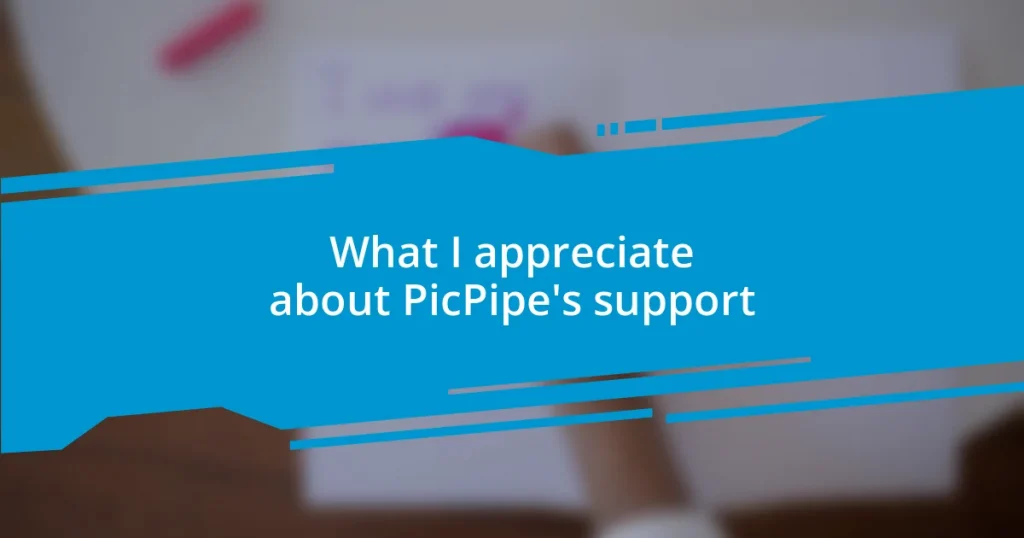 What I appreciate about PicPipe’s support