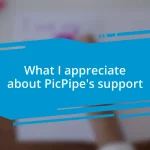 What I appreciate about PicPipe’s support